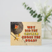 なぜチキンは道を渡った？ ポストカード (スタンド正面)