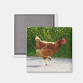 なぜチキンは道を渡った？ マグネット (正面/裏面)