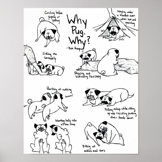 なぜパグだ？ ポスター (正面)