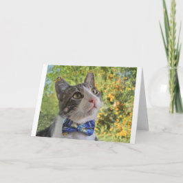 なぜ入れ込むのかノーテカード 案内状