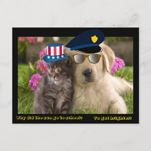 なぜ太陽は学校に行ったのか ポストカード (正面)