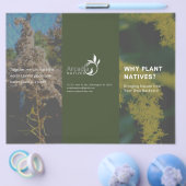 なぜ植物先住民ゴールデンロッドグリーンテーマ チラシ (シングル)