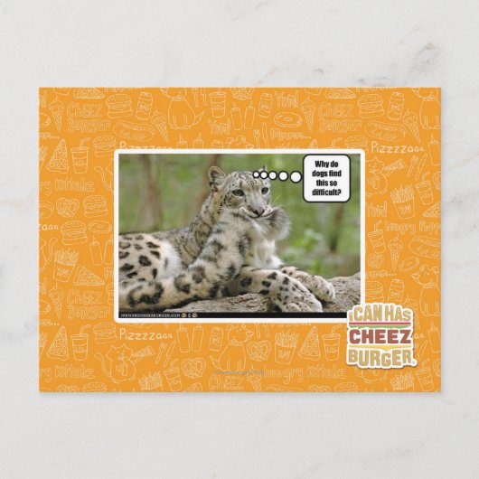 なぜ犬は難しいと思う? ポストカード (正面)