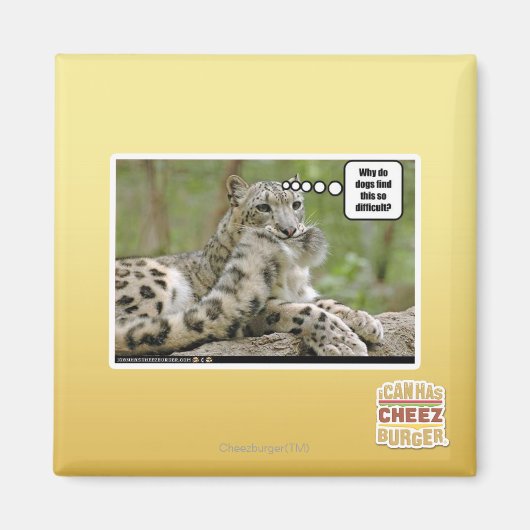 なぜ犬は難しいと思う？ マグネット (正面)