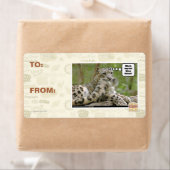 なぜ犬は難しいと思う？ ラベル (インサイチュ)