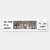 なぜ犬を罰して下さいか。 バンパーステッカー (正面)