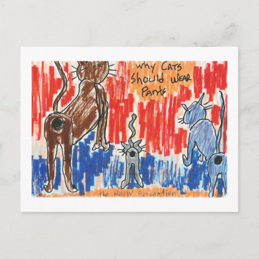 なぜ猫は衣服 ポストカード (正面)