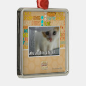 なぜ皮がありますか。 メタルオーナメント (右)