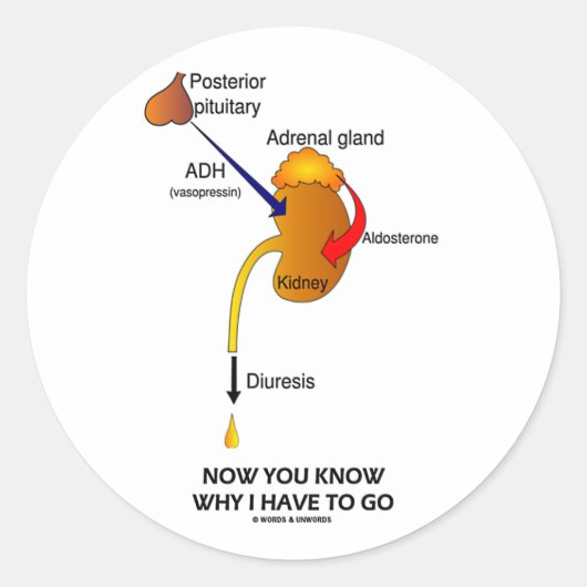 なぜ私が行かなければならないか分かるだろう(利尿) ラウンドシール (正面)