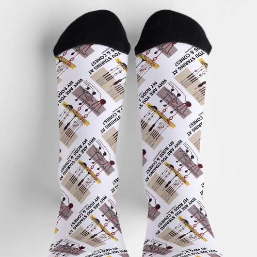 なぜ私のロッドとコーンを見ているの? ソックス (上部)