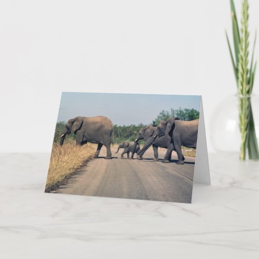 なぜ象は道路を渡った？(1) カード (正面)