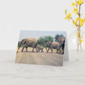 なぜ象は道路を渡った？(2) カード (黄色い花)