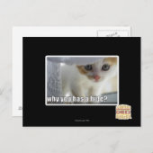 なぜ隠し物を持ってる? ポストカード (正面/裏面)