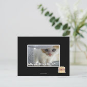 なぜ隠し物を持ってる? ポストカード (スタンド正面)