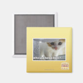 なぜ隠し物を持ってる？ マグネット (正面/裏面)