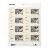 なぜ隠し物を持ってる？ ラベル (フルシート)