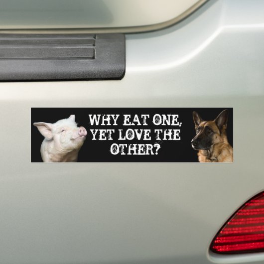 なぜ1つを食べて下さい、けれども他を愛して下さいか。 バンパーステッカー (車上)