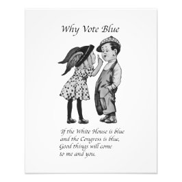 なぜ2028年に完全投票 フォトプリント           