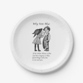 なぜ2028年に完全投票 ペーパープレート