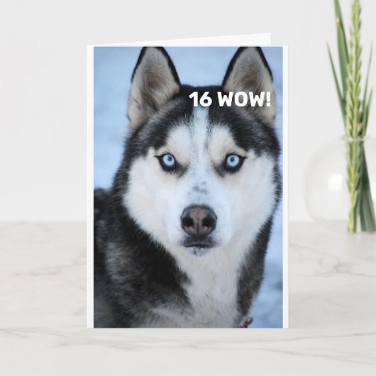 なぜ「16誕生日」のユーモア・カードなのか彼は言う カード (正面)