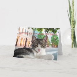 なぜyes、猫が世界を支配するのか 案内状