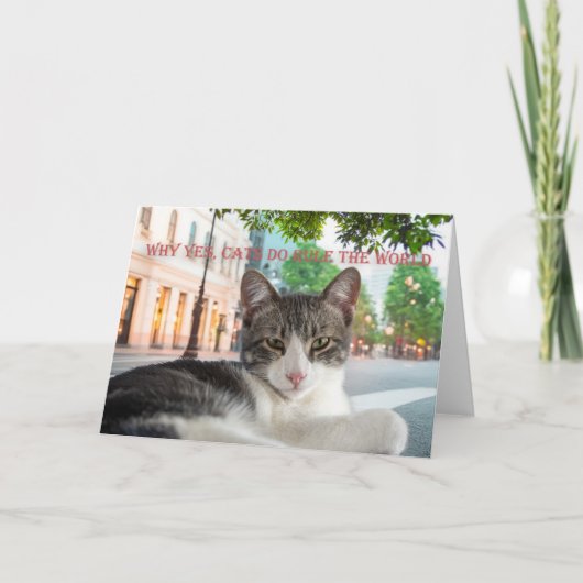 なぜyes、猫が世界を支配するのか 案内状 (正面)