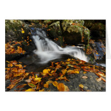 なだめるような水