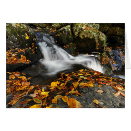 なだめるような水