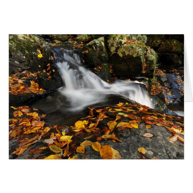 なだめるような水 (正面横)