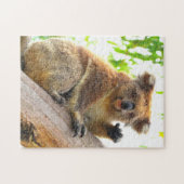 なびくコアラ11x14インチ ジグソーパズル (横)