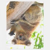 なびくコアラ フリースブランケット (正面)