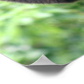 なびくサル ポスター (角)