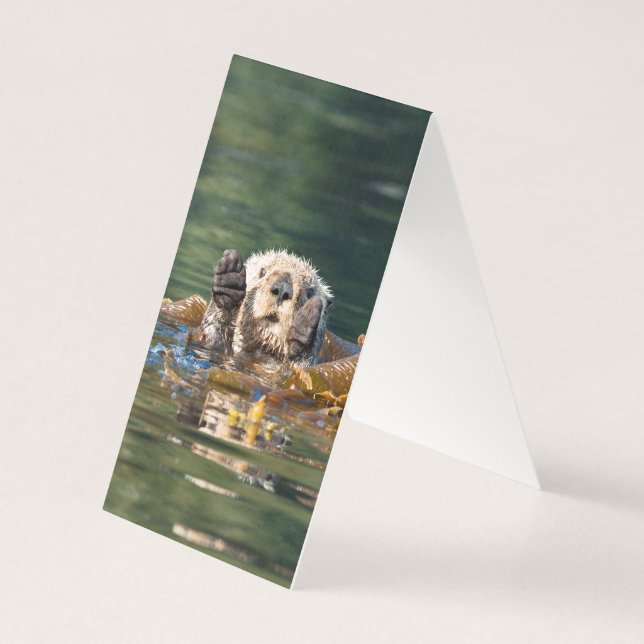 なびくシーオッター (裏面)