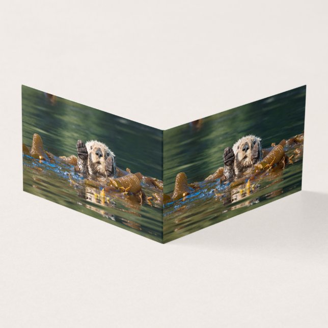 なびくシーオッター (外部)