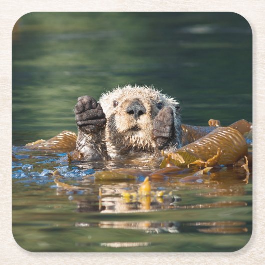 なびくシーオッター スクエアペーパーコースター (正面)