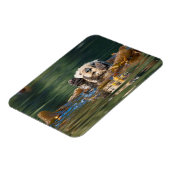 なびくシーオッター マグネット (左側)