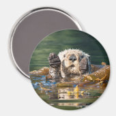 なびくシーオッター マグネット (正面/裏面)