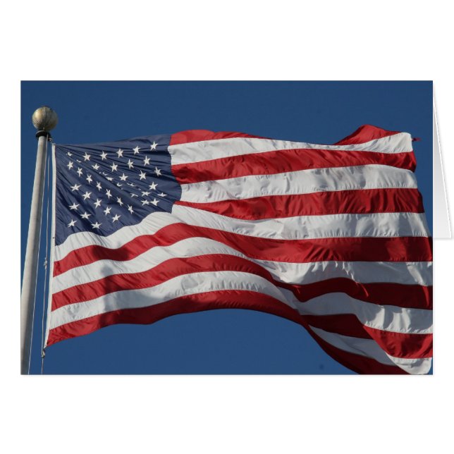 なびくストライプる (正面横)