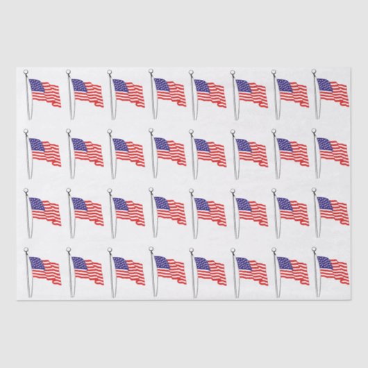 なびく米国国旗のスケッチ#1 薄葉紙 (正面)