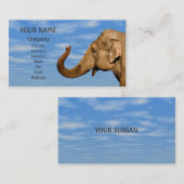 なびく象 名刺 (正面/裏面)