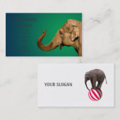 なびく象 名刺 (正面/裏面)