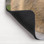 なめらかなアグティ・ギニア豚とピンクの花 マウスパッド (コーナー)