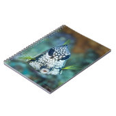 なめらかなトランクフィッシュの水中ビュー(Lactophys) ノートブック (左側)