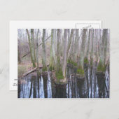 なりすまし状態で ポストカード (正面/裏面)