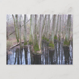 なりすまし状態で ポストカード