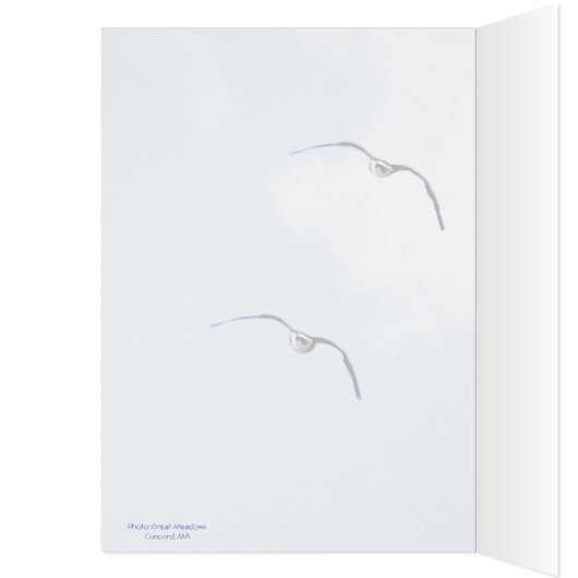 なんてこった！あなたは卒業： (内側 (左))