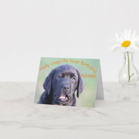 なんてこった!またお前の誕生日! カード (小さな植物)