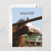 なんでもっと！ ポストカード (正面/裏面)