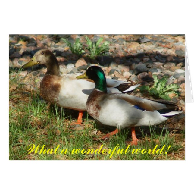 なんとすばらしい世界か! (正面横)