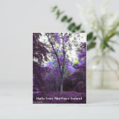 なんと世界か ポストカード (スタンド正面)